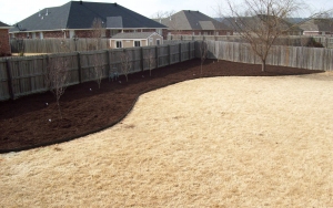 Grass Lawn Care
