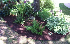 Landscape Maintenance Professionals