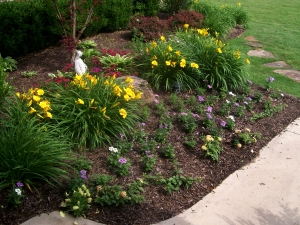Landscape Maintenance