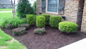 Landscape Services