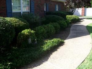 Landscaped grounds