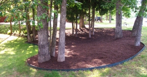 Landscaping Options