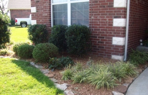Landscaping Services