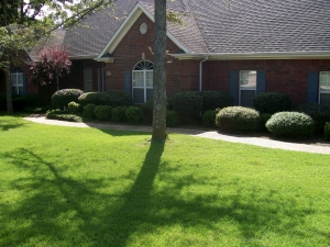 Lawn Care