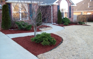 Lawn Maintenance Schedule
