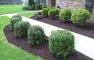 Local Landscapers