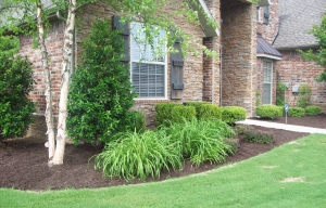 Local Landscaping Maintenance