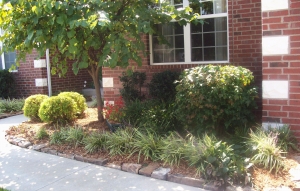 Residential Landscaping Services