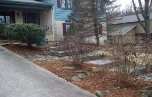 Winter Landscape Maintenance
