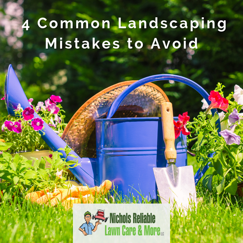 landscaping mistakes, lawn care, lawn maintenance