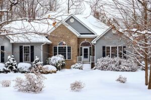 winter, lawn care, shrubs, trees, grass, landscape, how to prepare your yard for winter, lawn care tips for winter
