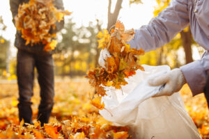 fall lawn care, myths, fact vs fiction, landscaping, northwest arkansas, lawn care service