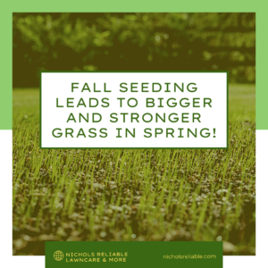 fall seeding, grass, turf grass, lawn care, maintenance, healthy grass, spring