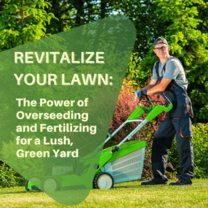 Man mowing a lawn with a lawn mower