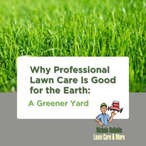 Environmental Benefits of Professional Lawn Care