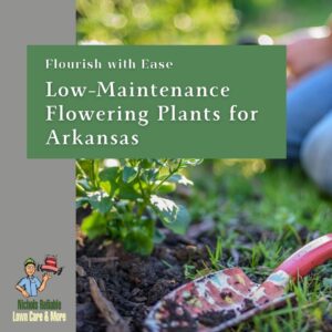 person gardening
