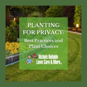 Planting for Privacy Best Practices And Plant Choices