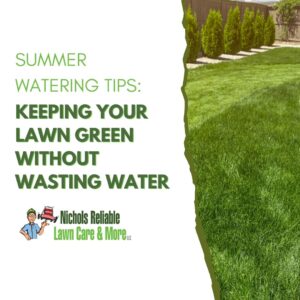 green lawn, Summer Watering Tips
