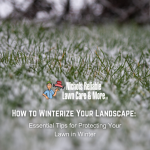 winterize your landscape, lawn care tips, winter lawn protection