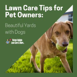 pet owners, lawn care, lawn care tips