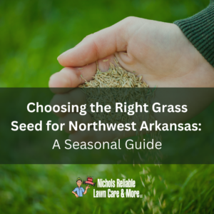 best grass types, best grass types for Northwest Arkansas