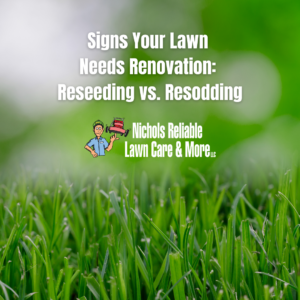 lawn renovation signs, reseeding, resodding