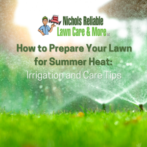 lawn heat protection, summer lawn care, irrigation tips